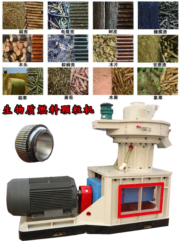 國內(nèi)外生物質(zhì)燃料顆粒機(jī)應(yīng)用現(xiàn)狀的疑問！
